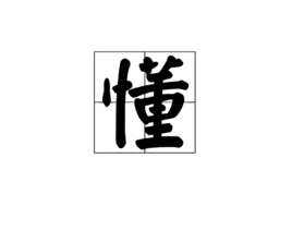 懂(汉字)