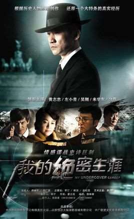 我的绝密生涯剧情介绍