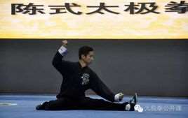 陈式太极拳(明洪武年间陈卜创设的太极拳)