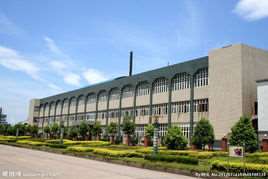 小规模企业如何报税