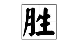 胜女的代价演员表