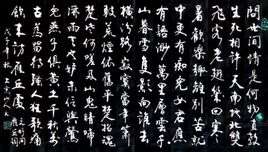 问世间情为何物下一句