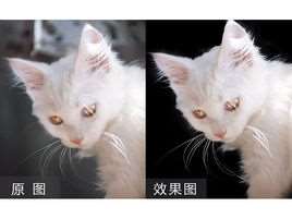ps如何抠图换白底