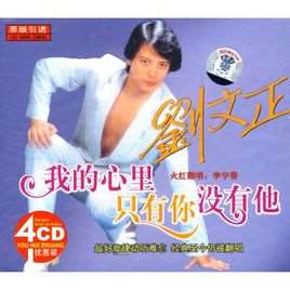 我的心里只有你没有他(歌曲名称)