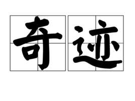 奇迹(词语解释)