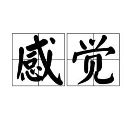 感觉(汉语词语)