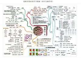 高中生物必修二视频