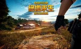 绝地求生(战术竞技游戏)