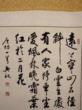 书法欣赏(即通过对优秀书法作品的品评领略其美)