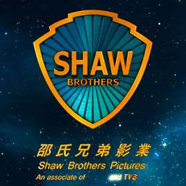 邵氏电影经典武打片