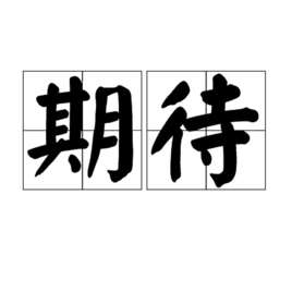 期待(汉语词语)