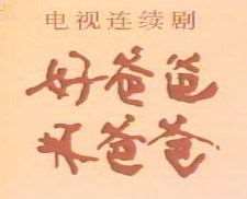好爸爸坏爸爸电视剧