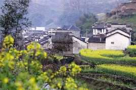 农村(从事农业生产者聚居的地方)