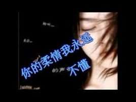 你的柔情我永远不懂(陈琳推出专辑)