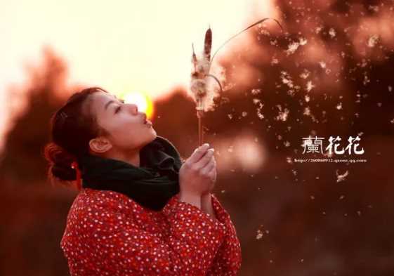 是谁唱着那动人的歌,唱着那蓝花花,是什么歌曲的歌词
