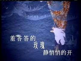羞答答的玫瑰静悄悄地开(孟庭苇发行于1993年的原唱歌曲)