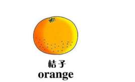 小学一年级英语单词