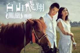 自由飞翔(凤凰传奇原唱歌曲)