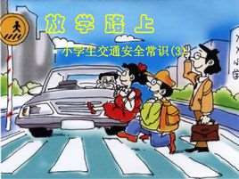 交通安全(交通术语)