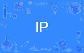 IP(网络之间互连的协议)