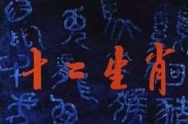 十二生肖动画片全集