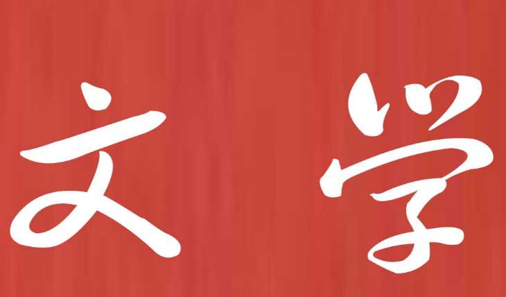 什么是文学啊