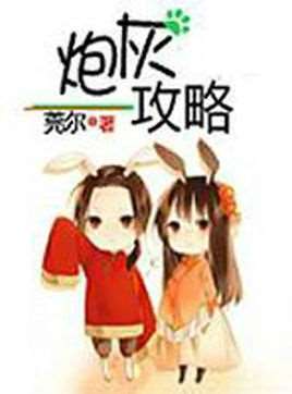 炮灰攻略(小说)