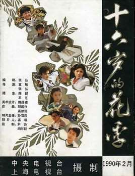 十六岁的花季电视剧