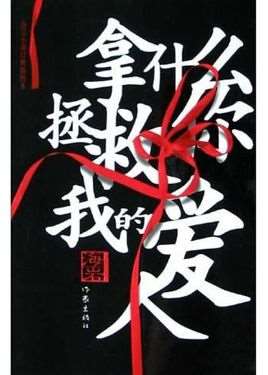 拿什么拯救你,我的爱人(海岩小说)