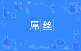 屌丝(网络文化的讽刺用语)