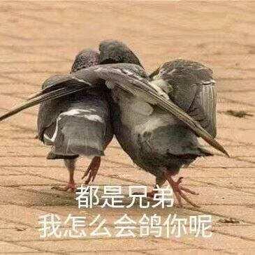 QQͼƬ20191202110623.jpg