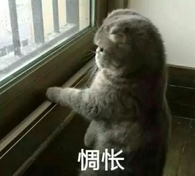 杭州拆迁户搬新房,走进小区吓懵了:有12座坟墓