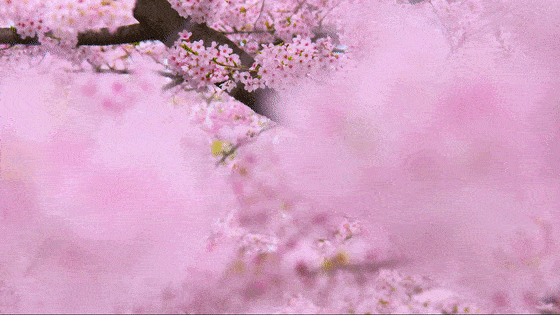 ʮ߹һ·߳¯