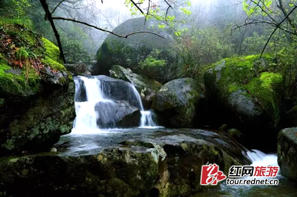 Dawei Mountain awarded the only 2016 Best Hunan Summer Resor